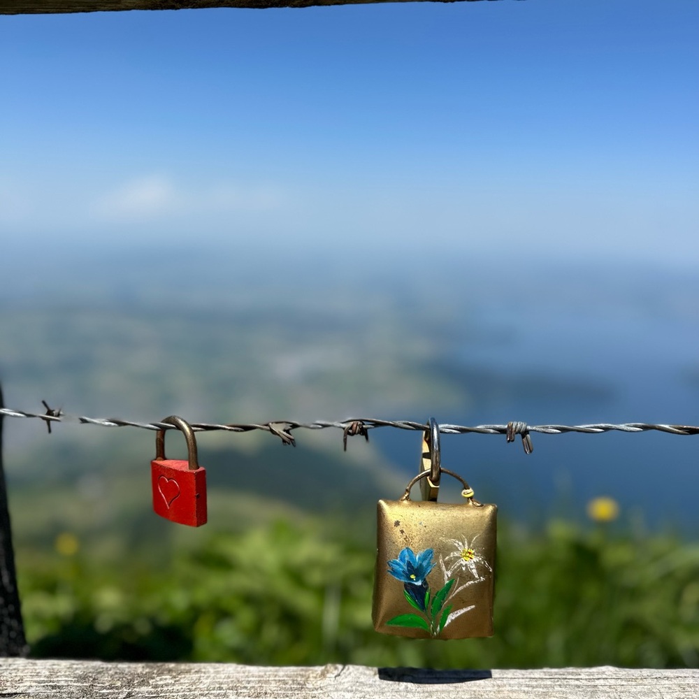 Meet your Posher, Nour